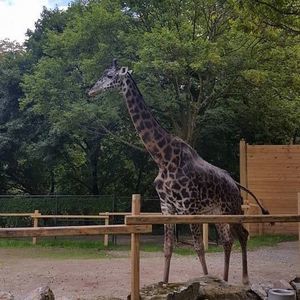 Meet your Posher, Denise